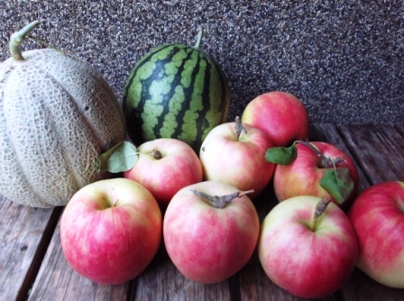 さんさの商品画像