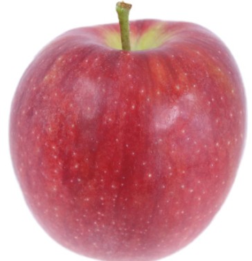 シナノレッドの商品画像